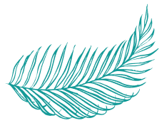 dessin fougere bleu clair